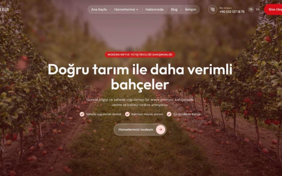 Adalia Danışmanlık web sitesi ana sayfası